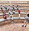 Ciptakan sekolah yang terhubung