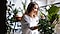 A woman tends to big leafy green plants near the window in her well-lit apartment.