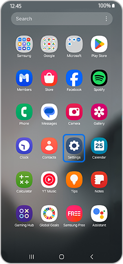The Settings app on the smartphone homescreen highlighted