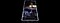 Galaxy S10 plus laying on its back, seen at a slight angle from below, with a livestreamed presentation with comments overlaid onscreen.