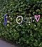 Dots, a star, circle, square and heart AR doodles against a backdrop of greenery