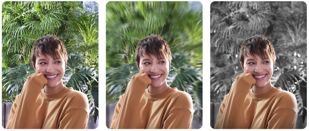 Examples of Live Focus mode