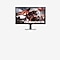 Gaming Monitors
