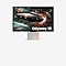 Gaming Monitors