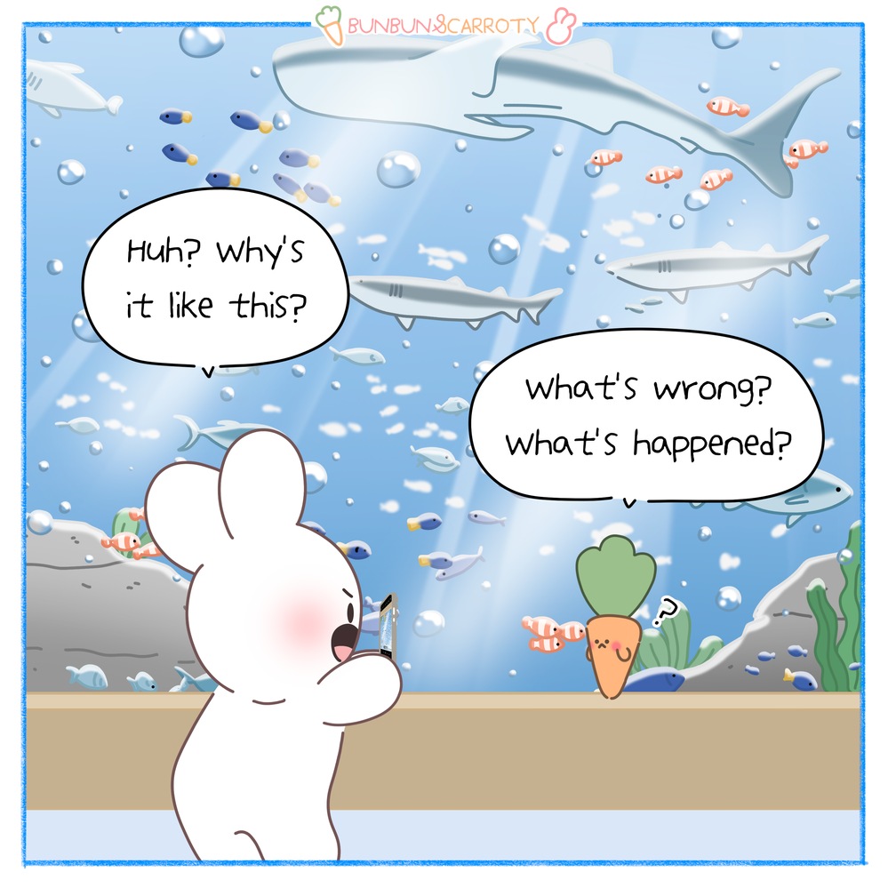 fix upside down photo samsung devices