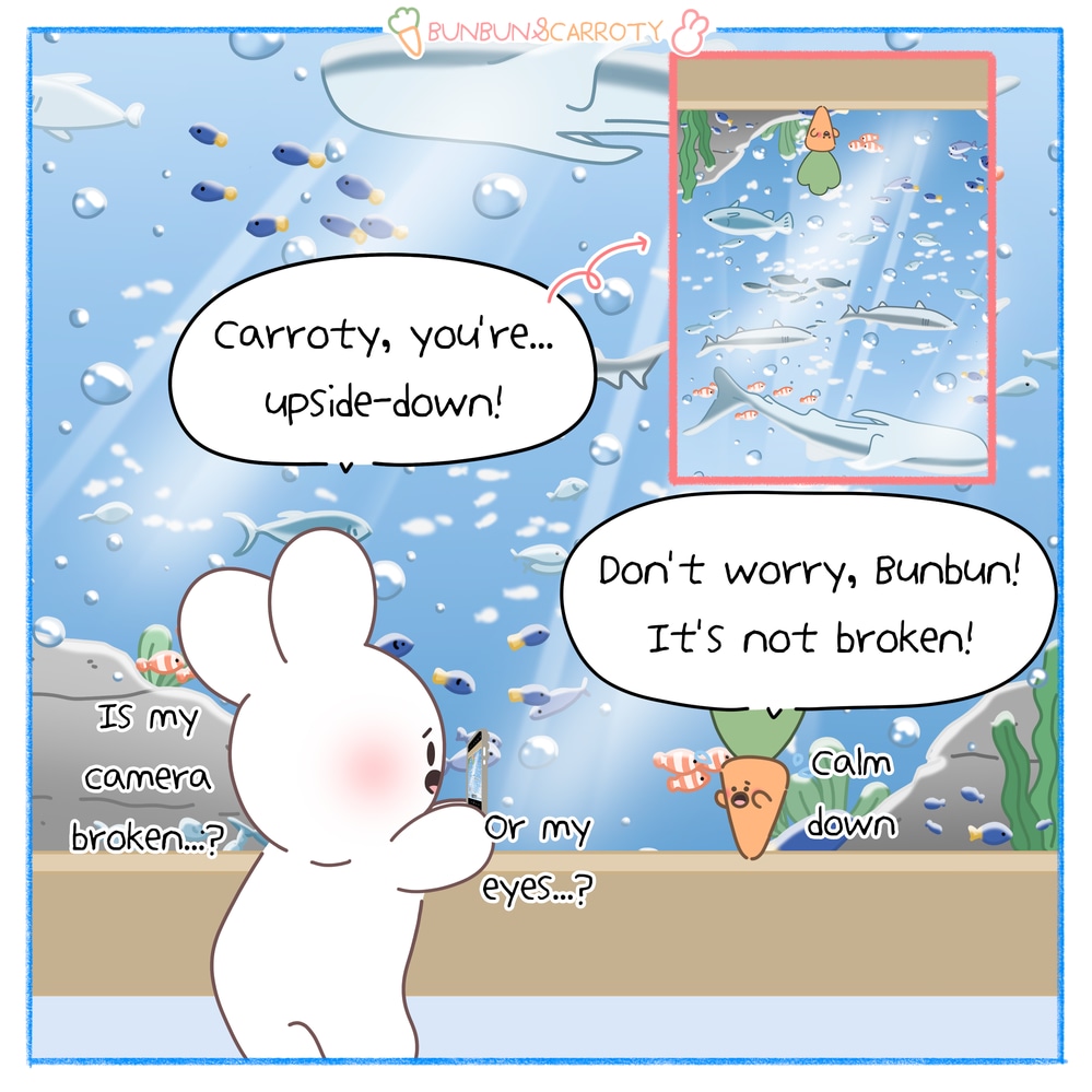 fix upside down photo samsung devices