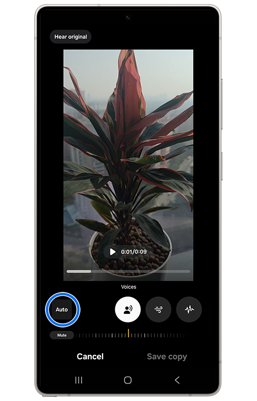 image showing to tap on auto to remove unwanted noise in galaxy device