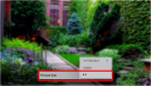 How to change the Picture Size in QLED?