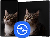 Share files in the moment