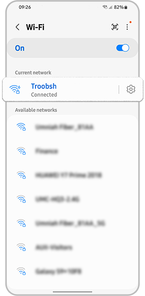 Here you can make sure you are connected to the correct network and change it if necessary