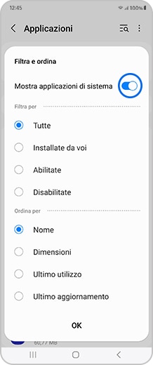 Schermata smartphone con il pulsante attiva/disattiva Mostra applicazioni di sistema selezionato