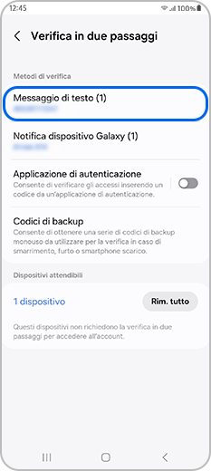 Messaggio di testo selezionato sotto Metodi di verifica nel menù di Verifica in due Passaggi