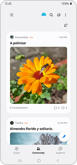 Schermata principale della Community.