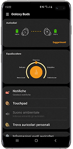 Home di Galaxy Wearable