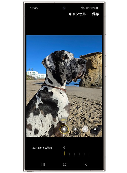 ポートレート使用前のイメージ。