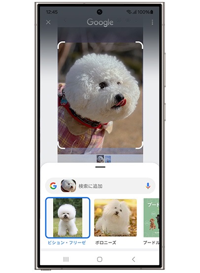 かこって検索での検索結果がGalaxy S24 Ultra(ギャラクシーS24ウルトラ)に映し出されている。