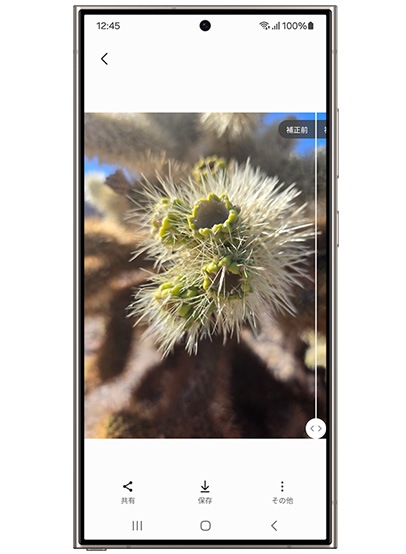 フォトリマスター使用前のイメージ。