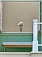 犬を10倍ズームで撮影した写真。