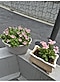 ピンクの花が鉢植えされている