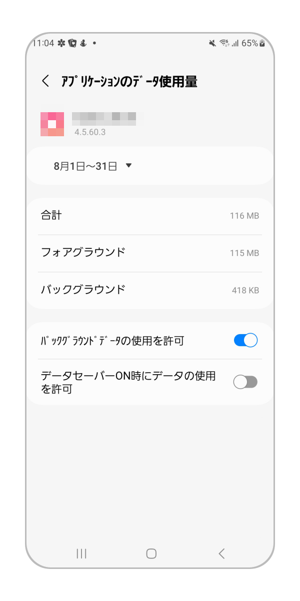 各アプリをタップすることでより詳細を確認することが可能です。