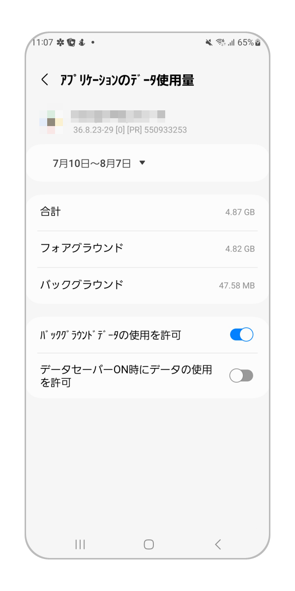 各アプリをタップすることでより詳細を確認することが可能です。