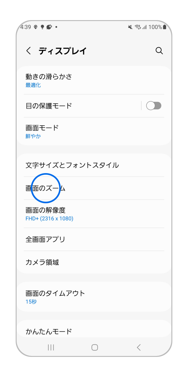 「画面のズーム」をタップします。