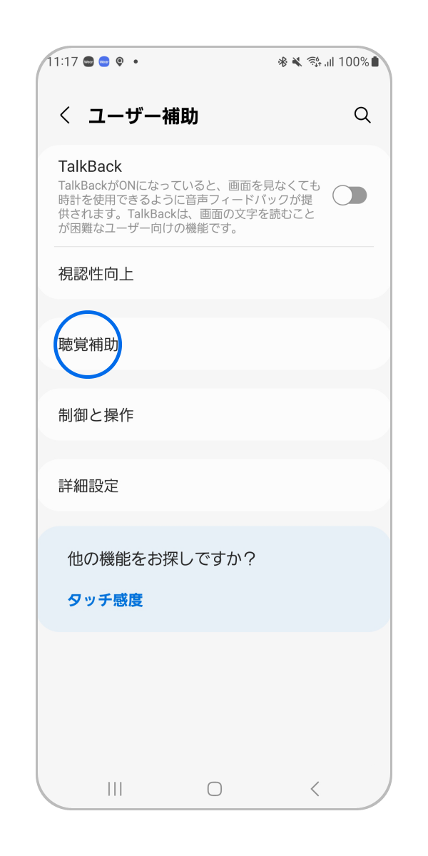 聴覚補助 を押します。