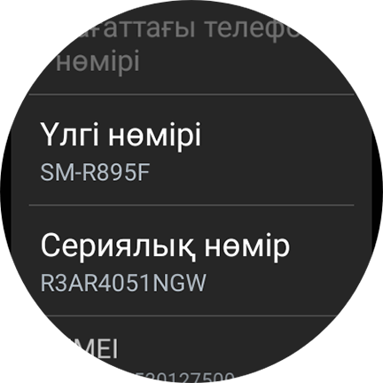 Сағат параметрлеріндегі үлгі нөмірі