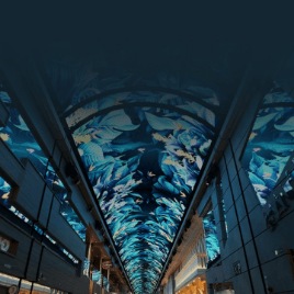 MSC Cruises