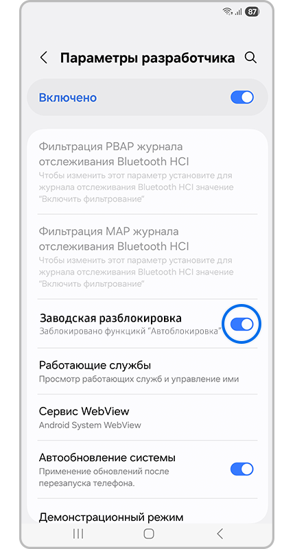 Параметры разработчика.