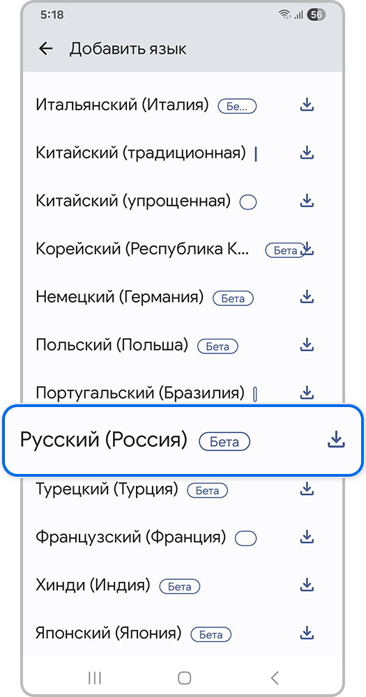 Русский (Россия)