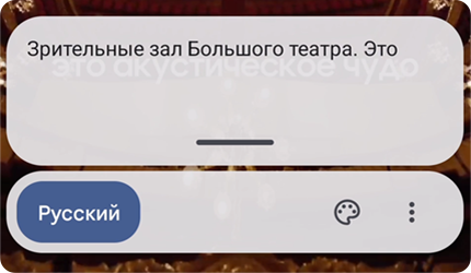Окно автоматиченских субтитров