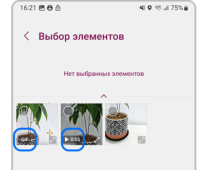 Анимация и видео в Галерее