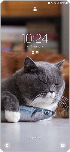 Статичная заставка