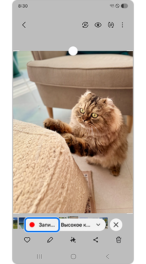 Нажатие кнопки "Запись" для создания GIF-файла