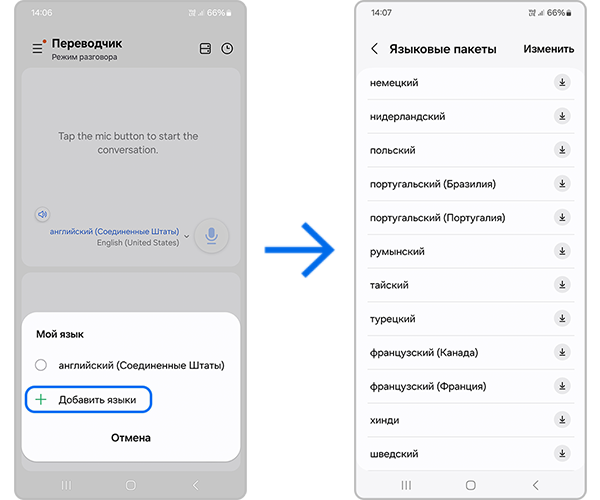 Пример отсутствия русского языка.