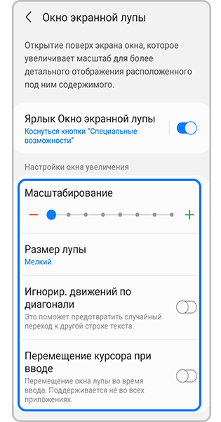 Окно экранной лупы