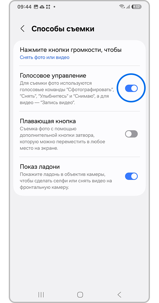 Переключатель "Голосовое управление"