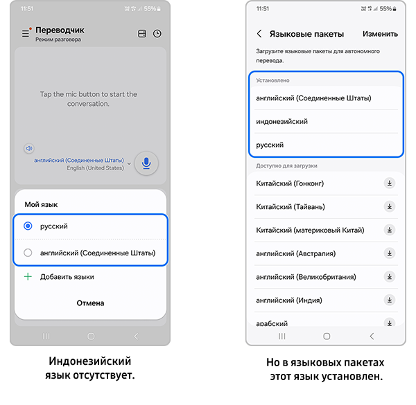 Отсутствие языка при переводе.