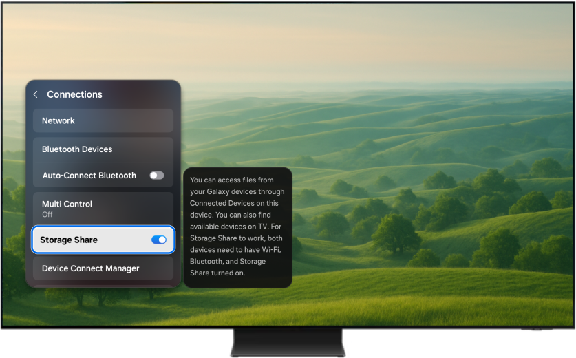 TV displaying the Connections menu with Storage Share turned on.