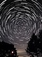 Night sky photography showing the effects of long-exposure against the slowly moving night sky. The stars have been captured along their nightly paths through the sky in one long exposure, giving a radiant halo effect. Pine trees are in the foreground.