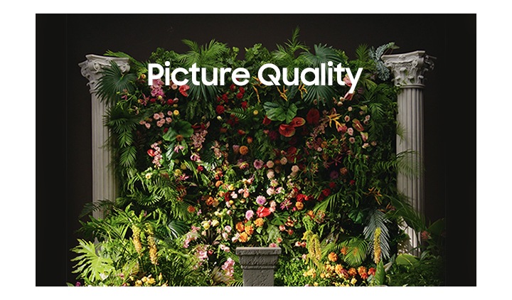 A floral backdrop adorned with an array of colorful flowers is positioned at the center, symbolizing Picture Quality. A stone object is positioned in the middle.