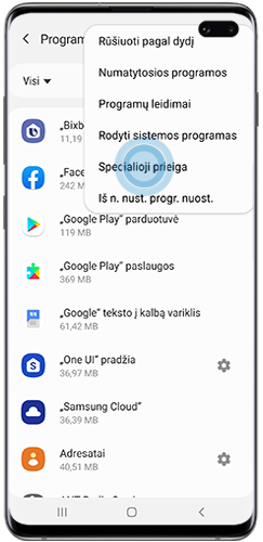 Pasirinkta specialioji prieiga