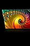 A QLED TV is displaying a multicolored conch shell in high resolution picture quality.