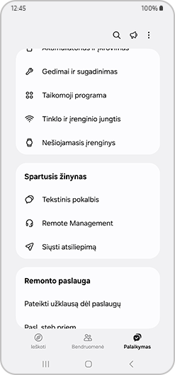 Sparčiojo žinyno skyrius su galimybėmis.