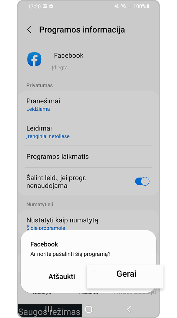 Paspauskite „Gerai“, kad pašalintumėte
