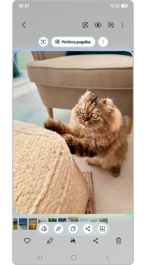 Pasirinkite sritį GIF kūrimui