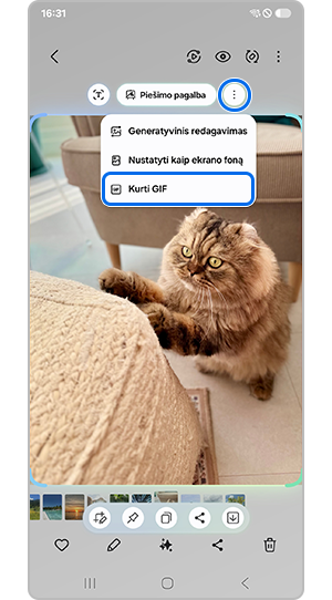 Palieskite Kurti GIF
