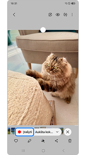 Palieskite Įrašyti GIF