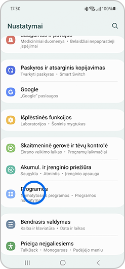 Nustatymų ekrano rodinys.
